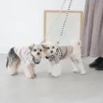 ボーダーリード