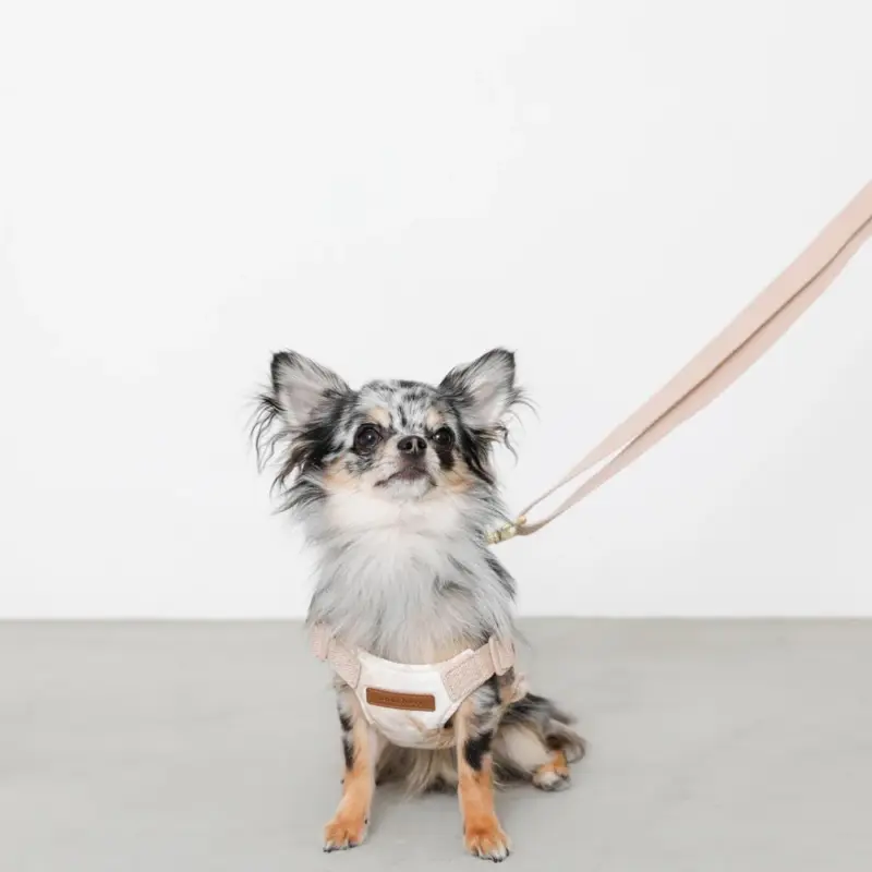 大理石調柄ハーネス