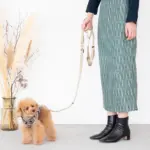 シンプルバイカラーハーネス