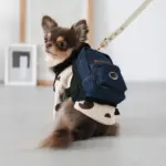 デニムバックパックハーネス