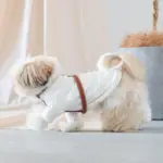 レザーハーネス　MEDIUM