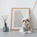 レザーハーネス　MEDIUM