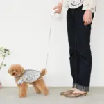 リングライトリード