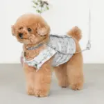 リングライトリード