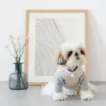 レザークラフトサークルネックレス