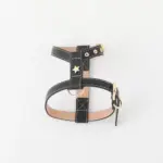 レザーハーネス　SMALL
