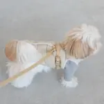 レザーハーネス　SMALL