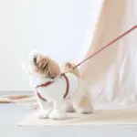 レザーハーネス　SMALL