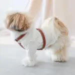 レザーハーネス　SMALL