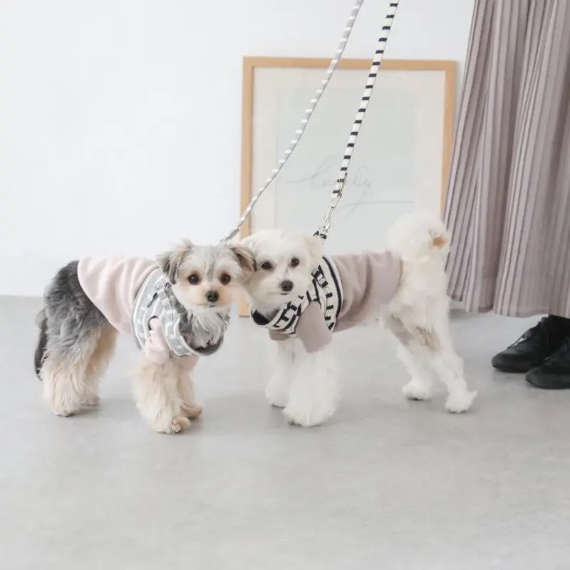 ボーダーハーネス+ボーダーリードSET