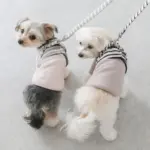 ボーダーハーネス+ボーダーリードSET