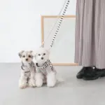 ボーダーハーネス