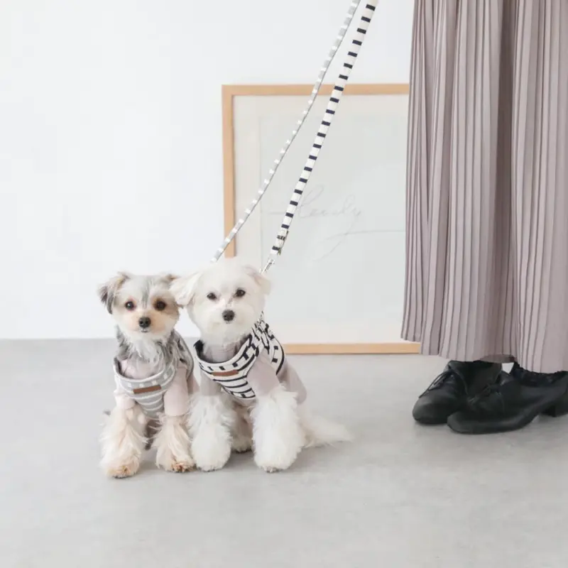 ボーダーハーネス