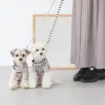 ボーダーハーネス