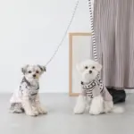 ボーダーハーネス