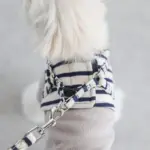 ボーダーハーネス