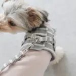 ボーダーハーネス