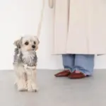 シュリンクレザーハーネス