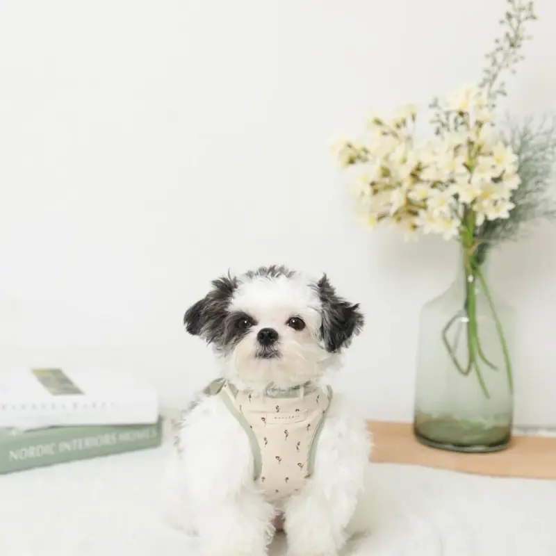 チューリップ柄ハーネス+リードSET【名入れ刺繍対応】【旧モデル】