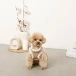 エコレザーボアMIXハーネス+リードSET【名入れ刺繍対応】【旧モデル】