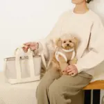 エコレザーボアMIXハーネス+リードSET【名入れ刺繍対応】【旧モデル】