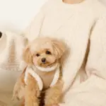 エコレザーボアMIXハーネス+リードSET【名入れ刺繍対応】【旧モデル】