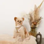 エコレザーボアMIXハーネス+リードSET【名入れ刺繍対応】【旧モデル】