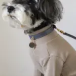 サークルチャームレザーカラー MEDIUM