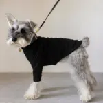 サークルチャームレザーカラー MEDIUM