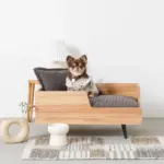 ハイスタンドフードボウル