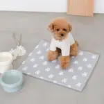 ハイスタンドフードボウル