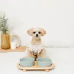 ウッドボールベースダブルフードボウル