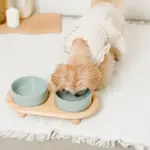 ウッドボールベースダブルフードボウル