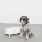 ダイニングテーブルダブルフードボウル