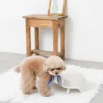 ダイニングテーブルダブルフードボウル