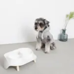 ダイニングテーブルダブルフードボウル