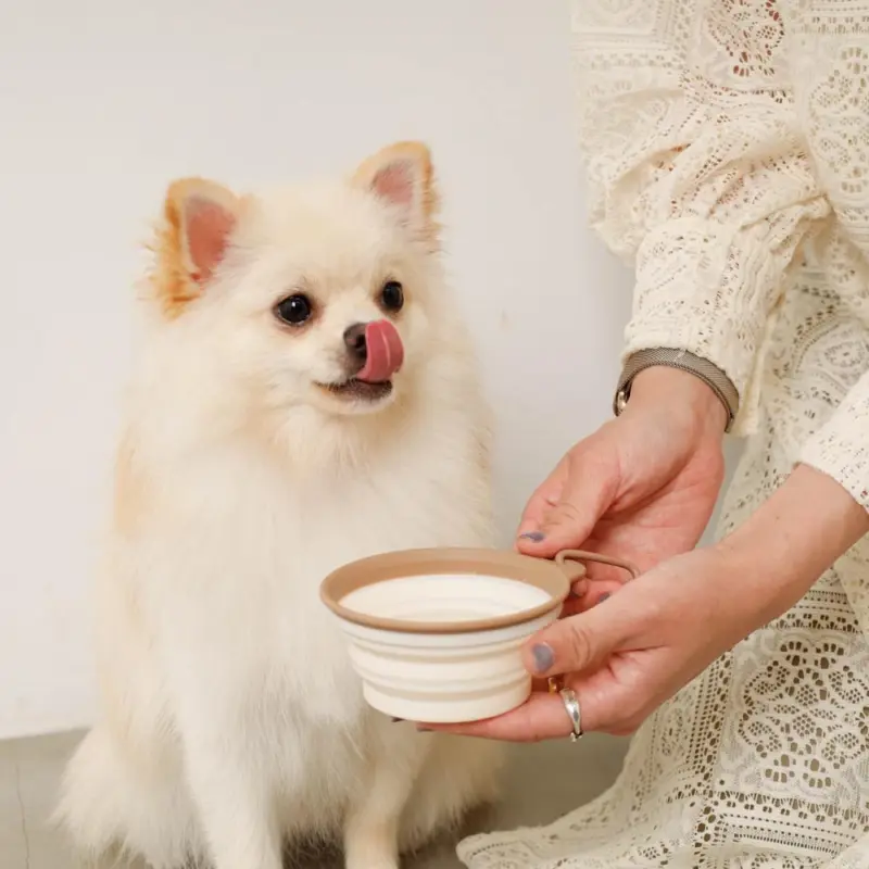 折りたたみバイカラーフードボウル フック付