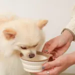 折りたたみバイカラーフードボウル フック付