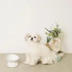 レース柄フードボウル