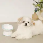 レース柄フードボウル