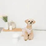 ダイアカットスマートハイスタンドボウル