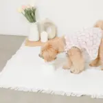 ダイアカットスマートハイスタンドボウル