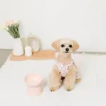 ダイアカットスマートハイスタンドボウル