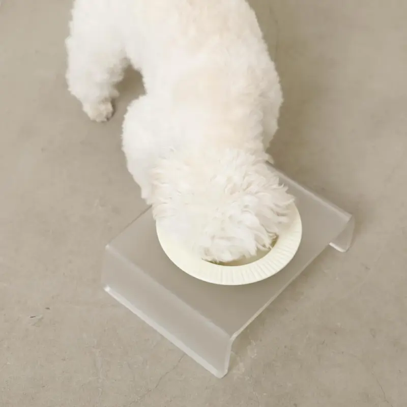 アクリルクリアベースフードボウル