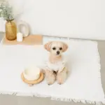 ウッドボールベースシングルフードボウル