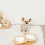 ウッドスタンドカーブダブルフードボウル