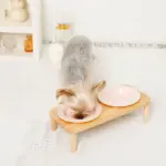 ナチュラルウッドダブルフードボウル