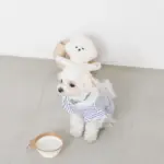 折りたたみぺたんこフードボウル フック付