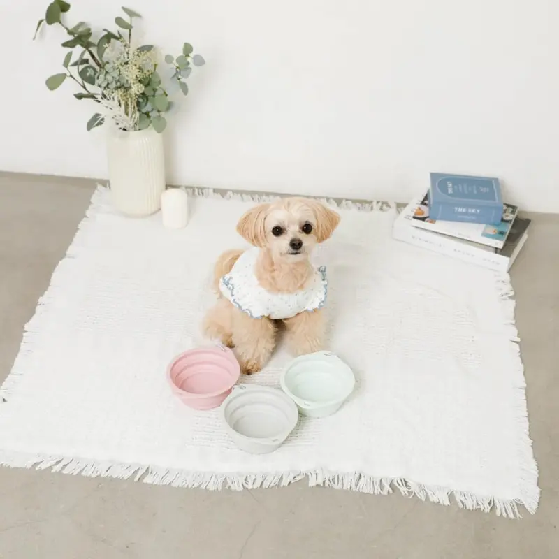 折りたたみカラーシリコンフードボウル フック付