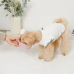 折りたたみカラーシリコンフードボウル フック付